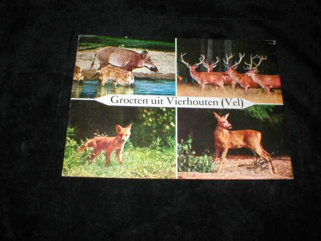 Oude foto's Vierhouten kleur 1